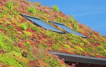 Aylestone Hill living roof systems